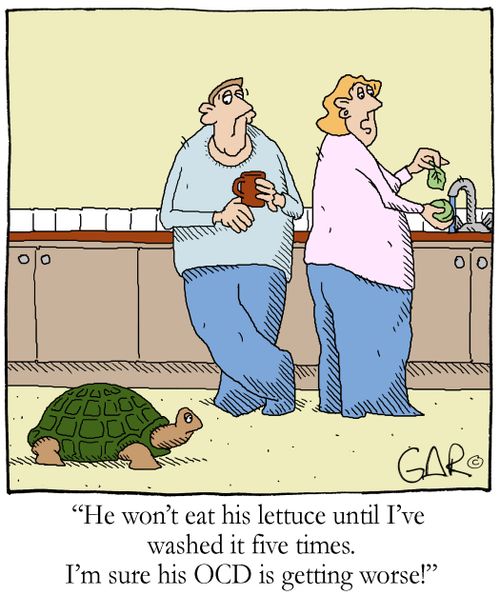 'He won't eat his lettuce until I've washed it five times. I'm sure his OCD is getting worse!'