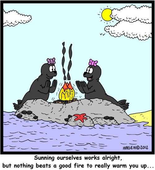 'Sunning ourselves works alright, but nothing beats a good fire to really warm you up...'