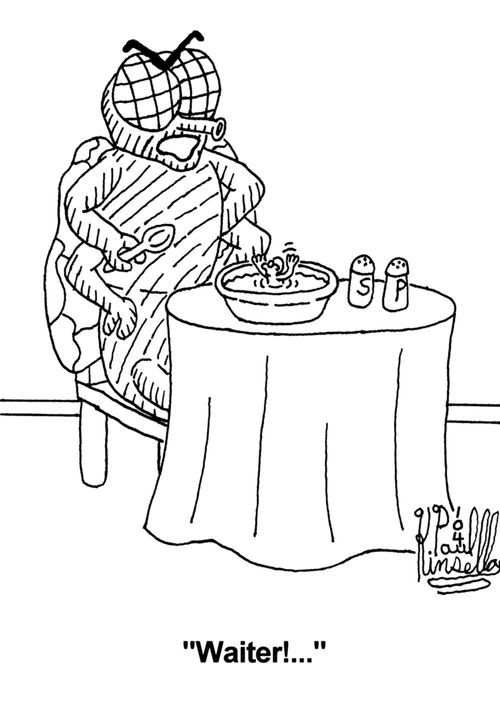 'Waiter...!' (there is a human in my soup)
