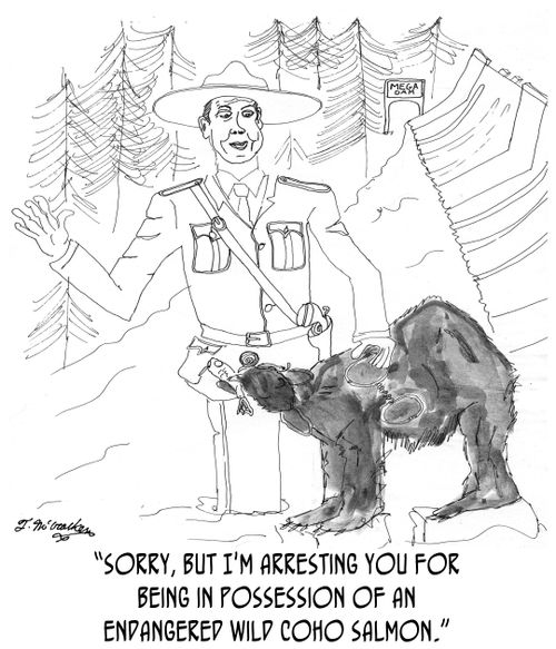 'Sorry, but I'm arresting you for being in possession of an endangered wild coho salmon.'