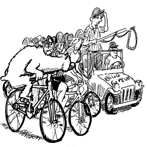 Bear tries to hide from the circus in a bicycle race.