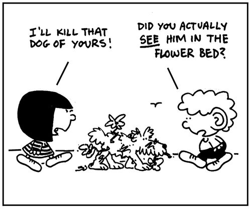 'I'll kill that dog of yours.'