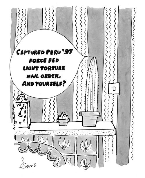'Captured Peru '97. force fed. Light torture. Mail order. And yourself?'