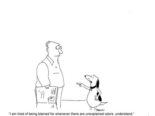 'I am tired of being blamed for whenever there are unexplained odors, understand.'