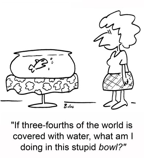 'If three-fourths of the world is covered with water, what am I doing in this stupid bowl?'