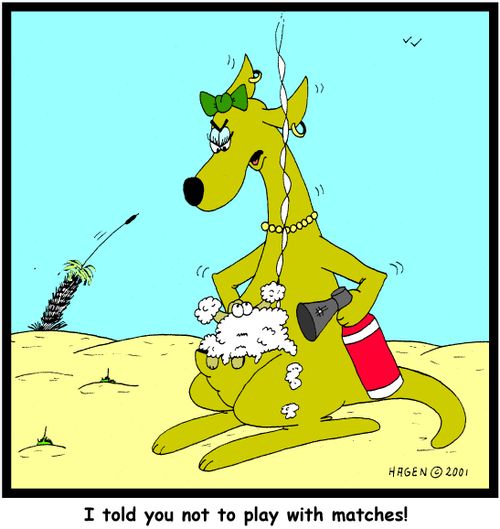 'I told you not to play with matches!'