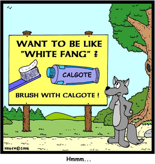 Want to be like 'White Fang'? Brush with Calgote!