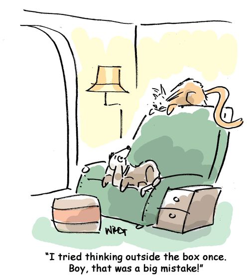 I tried thinking outside the box once. That was a big mistake!