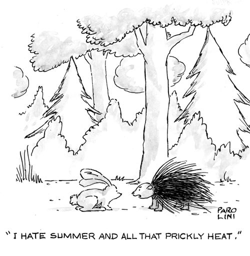 'I hate summer and all that prickly heat.'