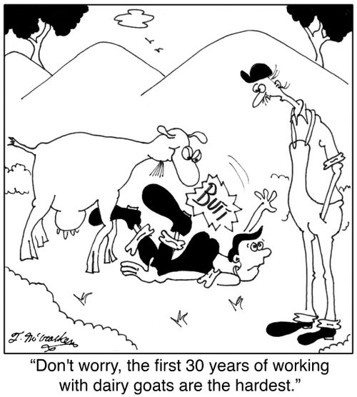 'Don't worry, the first 30 years of working with goats are the hardest.'