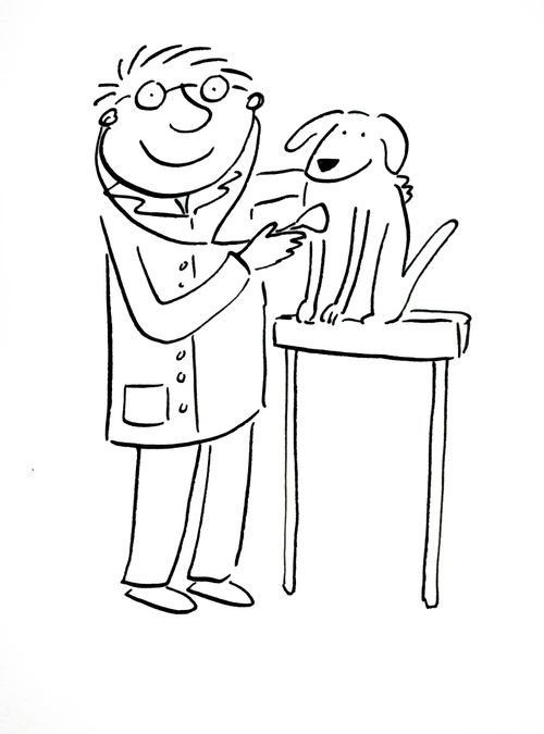 Dog at Vets