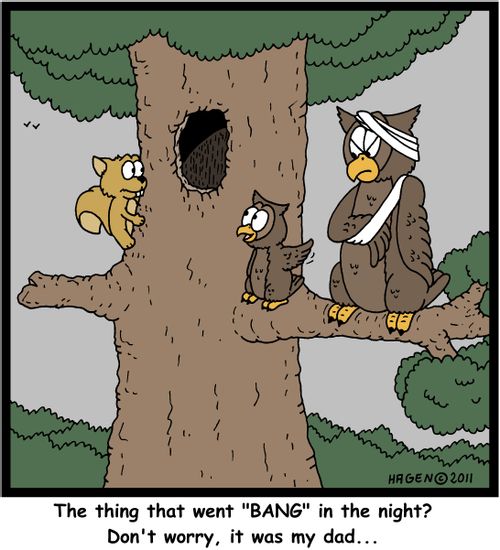 'The thing that went 'BANG' in the night? Don't worry, it was my dad...'