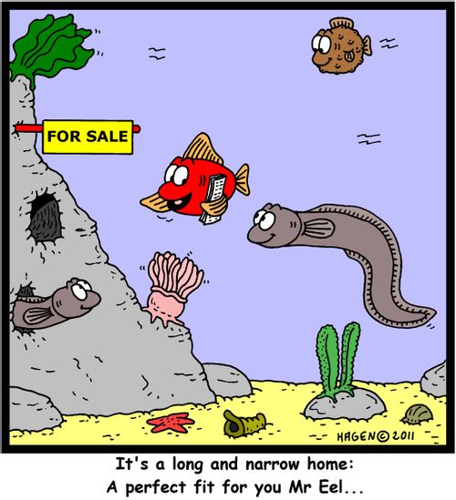 'It's a long and narrow home: A perfect fit for you Mr Eel...'
