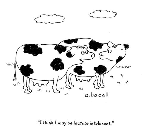 'I think I may be lactose intolerant.'
