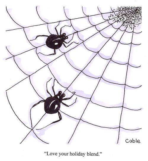 One spider seeing items caught in web to another spider: 'Love your holiday blend.'
