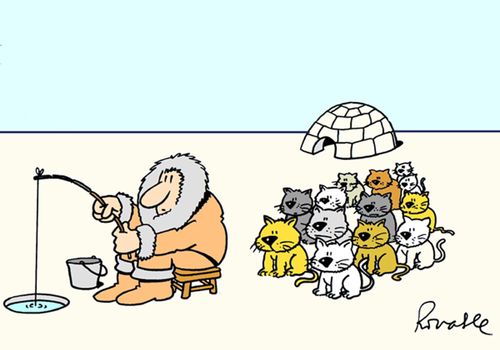 Cats waiting for fish.