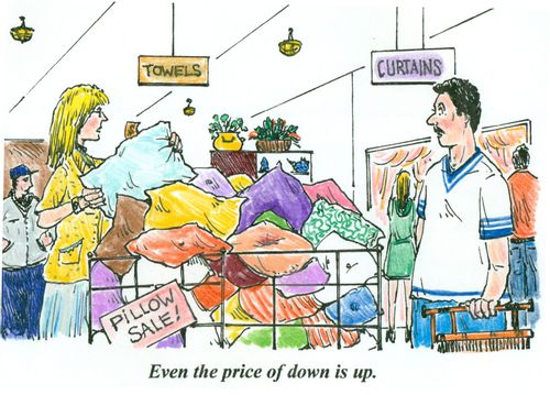 'Even the price of down is up.'