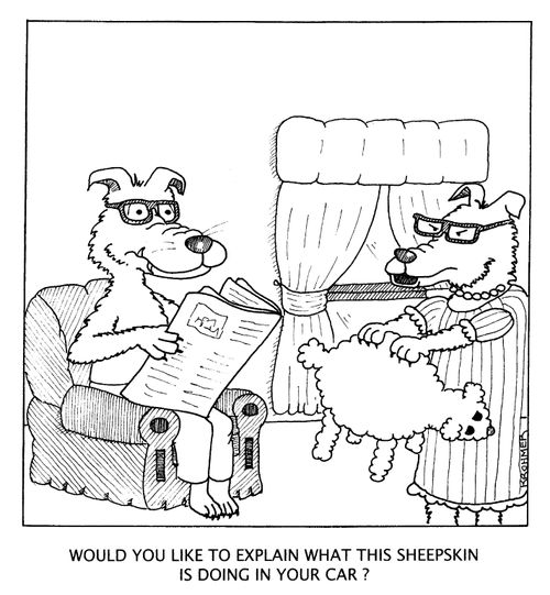 Would you like to explain what this sheepskin is doing in your car?