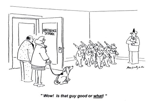 'Wow! Is that guy good or what!'