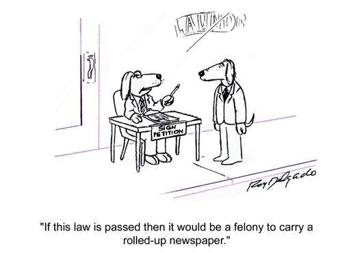 'If this law is padded then it would be a felony to carry a rolled-up newspaper.'
