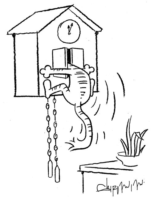 Cat hunting in a cuckoo clock.