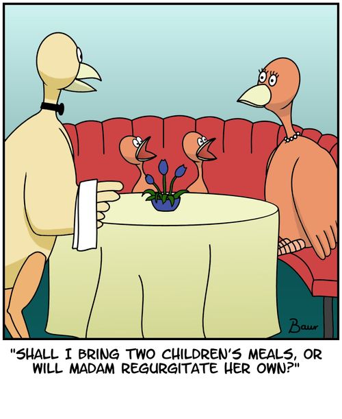 'Shall I bring two children's meals, or will Madam regurgitate her own?'
