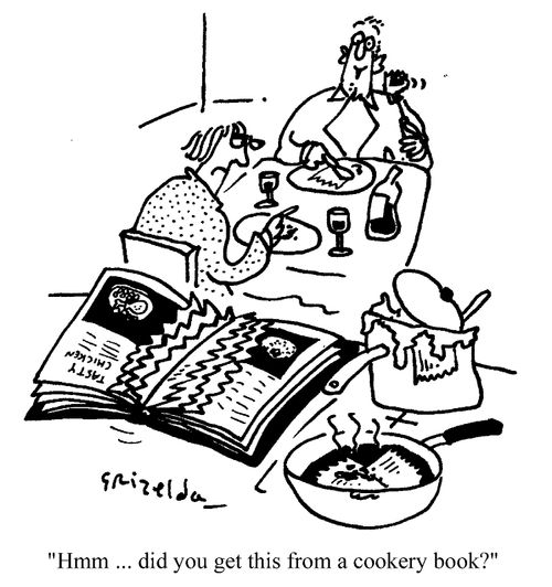 "Hmm...did you get this from a cookery book?"
