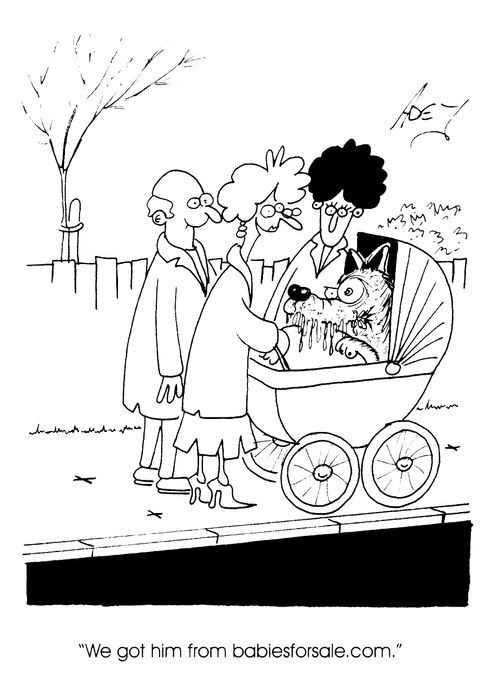 'Babiesforsale.com'