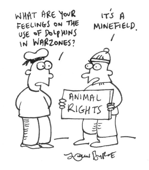 'What are your feelings on the use of dolphins in warzones?'...