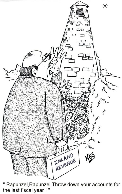 "Rapunzel,Rapunzel.Throw down your accounts for the last fiscal year!"