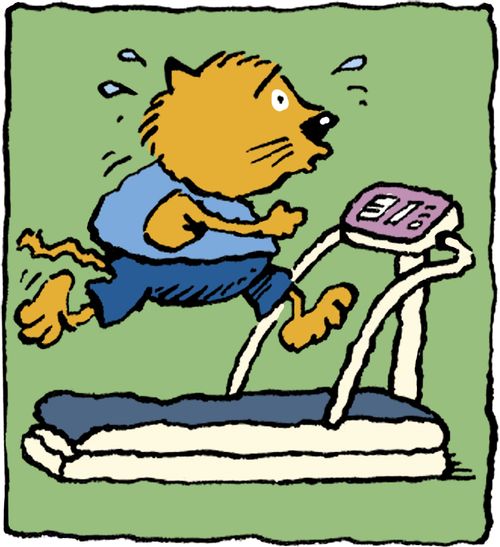 Fat cat running on treadmill.