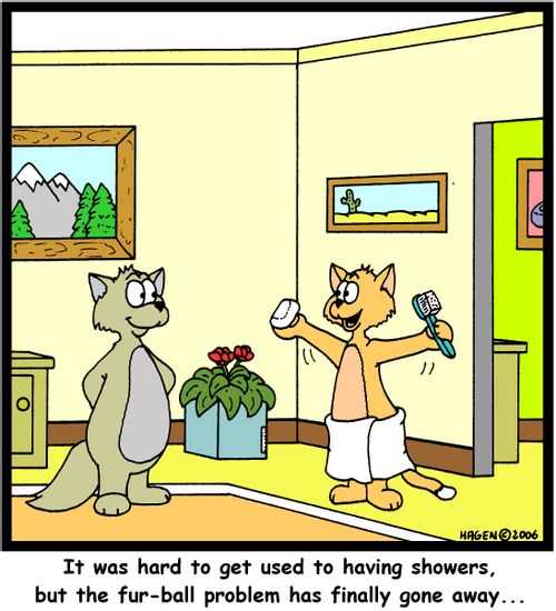'I was hard to get used to having showers, but the fur-ball problem has finally gone away...'