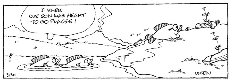 'I knew our son was meant to go places!' (fish parents about their son walking on land).