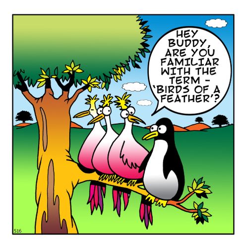 "Hey buddy, are you familiar with the term - 'birds of a feather'?"