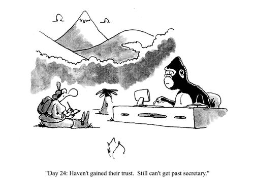 'Day 24: Haven't gained their trust.  Still can't get past secretary.'