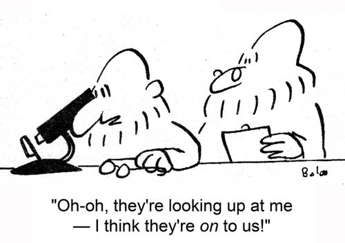 'Oh-oh, they're looking up at me ? I think they're on to us!'