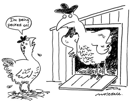 'I'm being pecked on!'