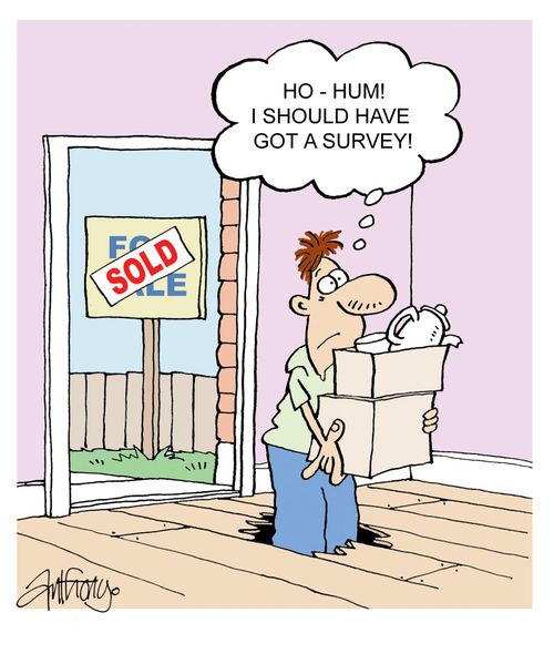 New home - should have got a survey.