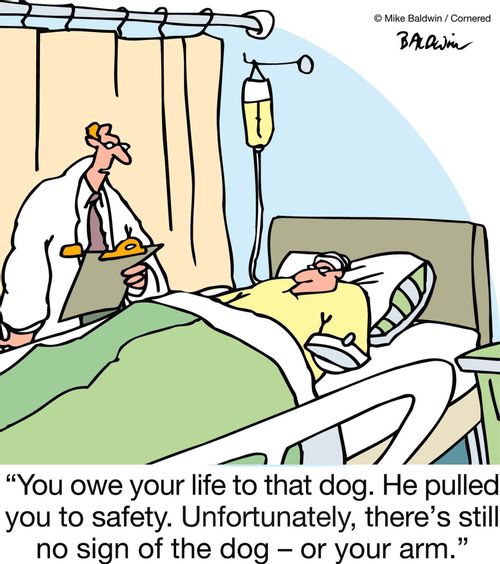 "You owe your life to that dog. He pulled you to safety. Unfortunately, there's still no sign of the dog ??" or your arm." 