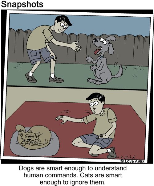 Dogs are smart enough to understand human commands. Cats are smart enough to ignore them.