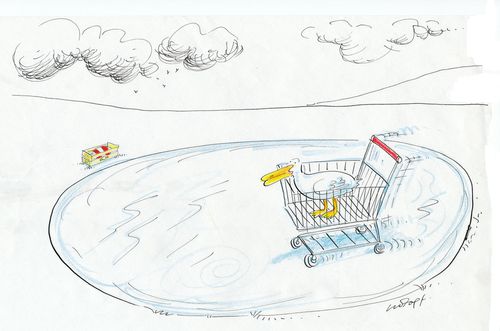 Bird on icy lake in shopping trolley.