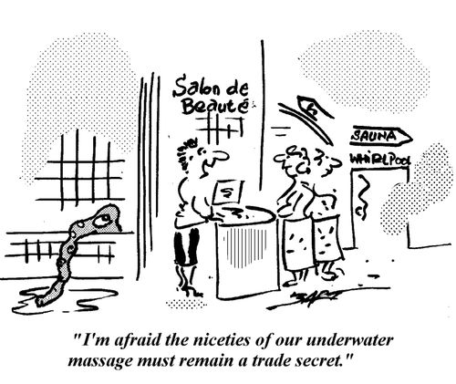 "I'm afraid the niceties of our underwater massage must remain a trade secret."