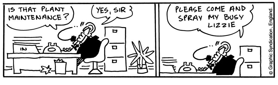 'Is that plant maintenance?'