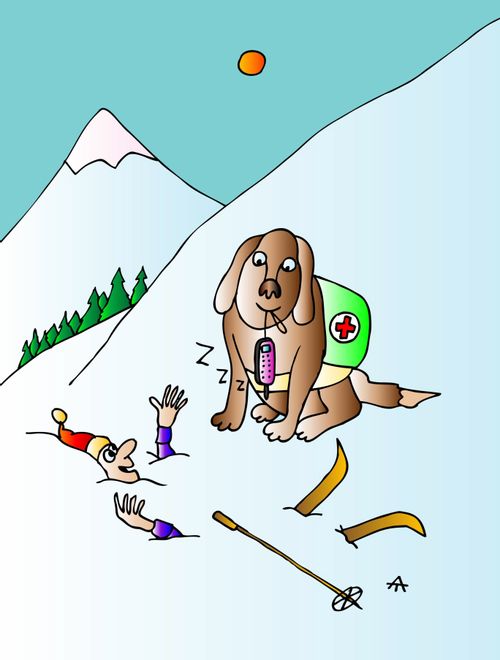 Rescue Dog.