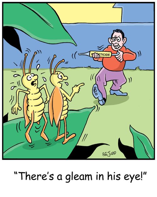 'There's a gleam in his eye!'