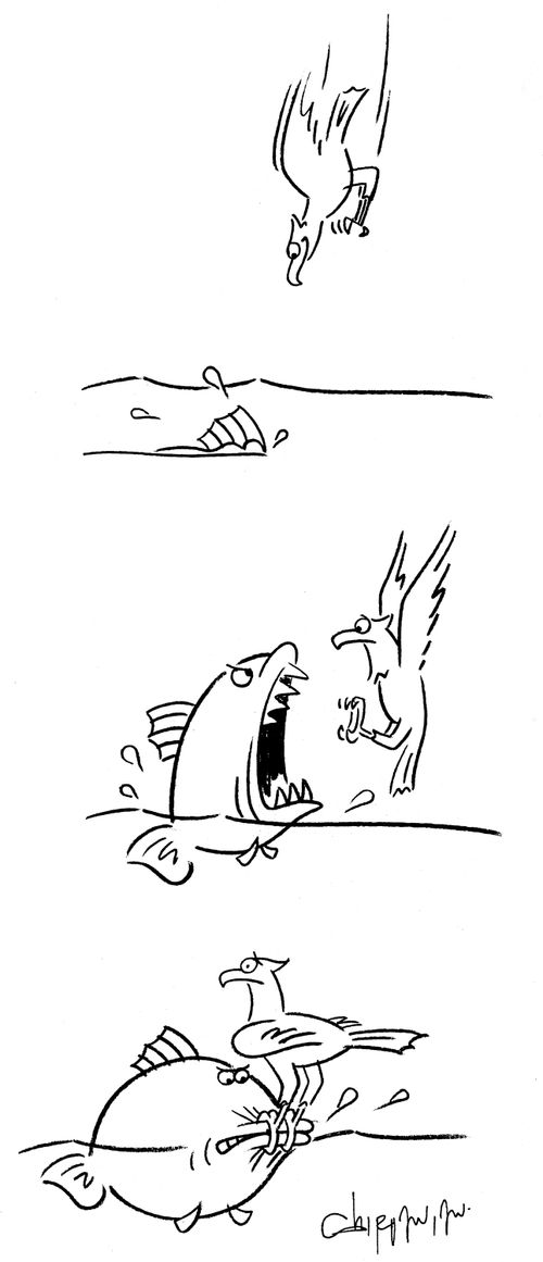 Bird Lands on Big Mouth and Clamps it Shut.