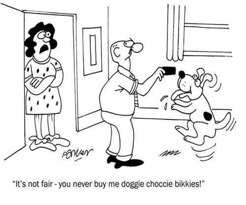 'It's not fair - you never buy me doggie choccie bikkies!'
