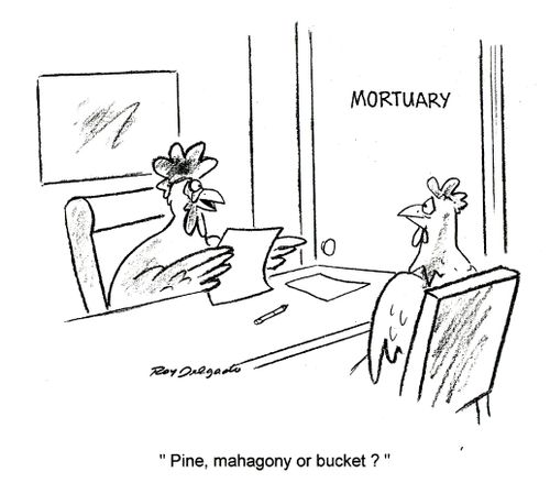 'Pine, mahogany or bucket?'