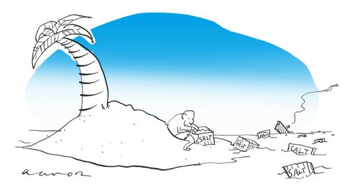 Boxes of Salt arrive at the Desert Island.