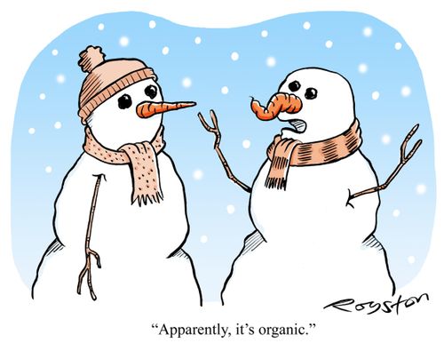 Snowman has twisted, wonky carrot nose: 'Apparently, it's organic.'